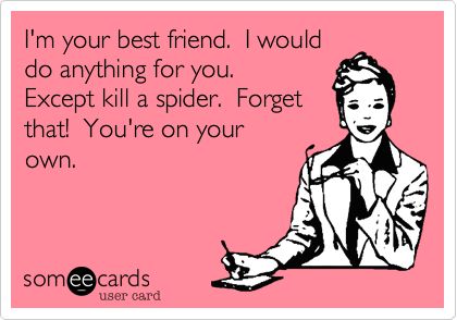 I'm your best friend. I would do anything for you. Except kill a spider. Forget that! You're on your own. | Friendship Ecard | someecards.com Anything For You, Masters Degree, Clipuri Video, E Card, Someecards, I Smile, Bones Funny, True Stories, That Way