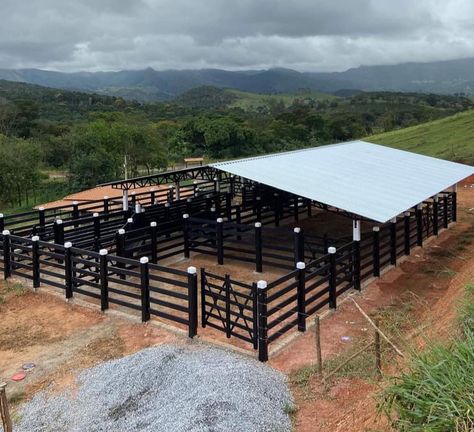 Goat Corral Ideas, Sheep Farming Ideas, Cow Barn Ideas, Goat Farming Ideas, Goat Pen Ideas, Cattle Barn Designs, Poultry Farm Buildings, Cow Shed Design, Cattle Housing