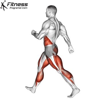 Workout Anatomy, Running Training Programs, Best Cardio Exercises, Walking Steps, Dynamic Stretching Exercises, Cardiovascular Exercises, Stairs Workout, Free Workout Plans, Cardio Exercises