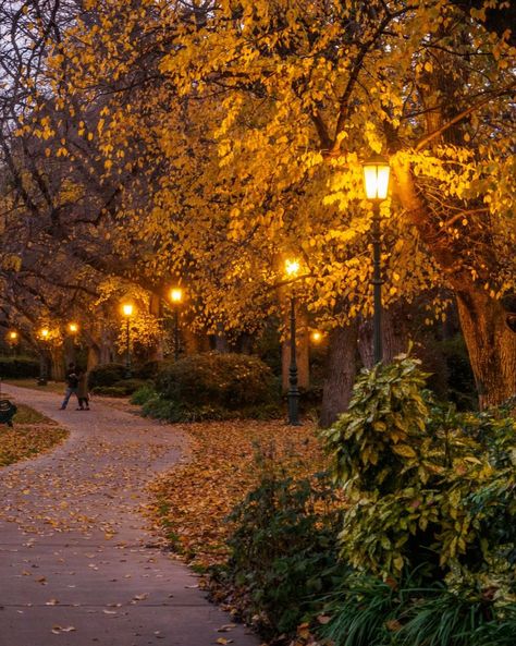 Brimming with history and heritage, take a waltz down any of the charming streets of Bendigo this autumn and you'll fall in love with this regional city. Autumn Walk Aesthetic, Fall Aesthetic Vibes, Fall At Night, October Season, Fall Landscapes, Park In Autumn, Fall Walk, Autumn Luxury, Park Aesthetic