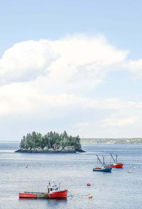 Is Lubec, Maine Worth Visiting? 15 Best Things To Do (2024) - New England Wanderlust Lubec Maine, Maine New England, New England Road Trip, Acadia National Park, Water Colors, New Brunswick, Whale Watching, Salt And Water, You've Been