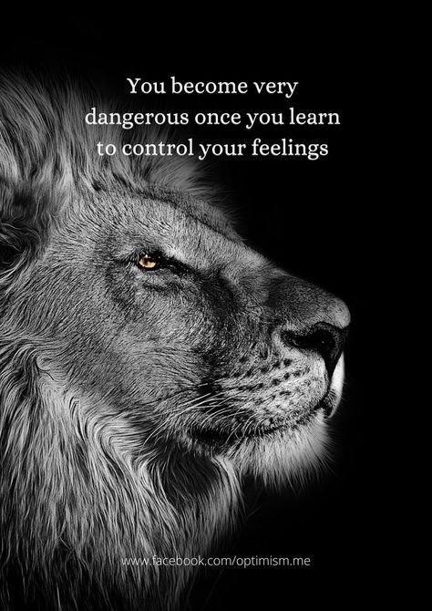 You become very dangerous once you learn to control your feelings Control Your Feelings, Dangerous Quotes, How To Control Anger, Inspirational Life Lessons, Love Wallpaper Backgrounds, Be Dangerous, Thought Quotes, Deep Thought, Badass Quotes