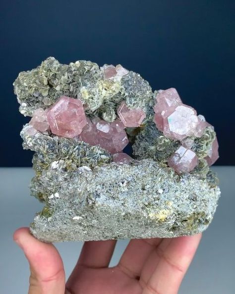 Muhammad Majid on Instagram: "❇️ APATITE with MICA ❇️  Natural Pink Color Apatite Cluster with Muscovite Mica. Specimen contains terminated and damage free pink Lustrous apatite crystals.  Weight : 906 gram Size : 116*109*87 mm Origin : Chumar Bakhoor Gilgit, Pakistan  #apatite #apatitecrystals #pinkapatite #mica #tourmalinecrystals #tourmalinespecimen #lepidolite #mineralspecimen #mineralsparadise #mineralien #crystals #crystalshop #crystalsofig #gemstones #gemporn #geology #geologypage #rockhounds #rockhounding #crystalline #crystallove #crystalenergy #crystalvibes #mineralcollecting #crystaladdict #gemsofinstagram #rocksandcrystals #minerology #crystalsale #geologists" Gilgit Pakistan, Crystal Specimens, Crystal Vibes, Magic Stones, Crystal Aesthetic, Pretty Rocks, Cool Rocks, Minerals And Gemstones, Rocks And Gems