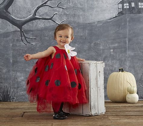 Sparkles and Lattes: Toddler Halloween Costume Ideas Baby Halloween Costumes Girl, Baby Ladybug Costume, Cat Tail Costume, Ladybug Tutu, Costume Tutu, Owl Costume, Baby Ladybug, Ladybug Costume, Ladybug Birthday