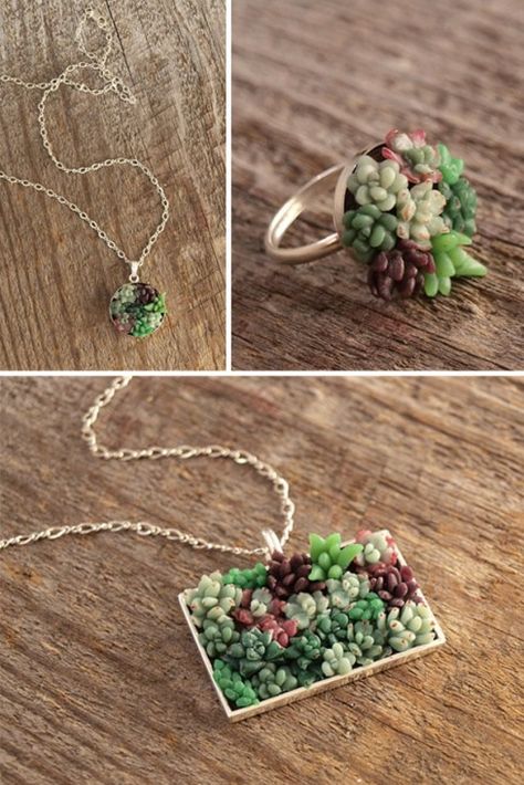 Succulent Garden Succulent Landscape Design, Succulent Jewelry, Succulent Gardens, Succulent Gardening, Garden Jewelry, Succulent Garden, Cactus Y Suculentas, Miniature Garden, Mini Garden