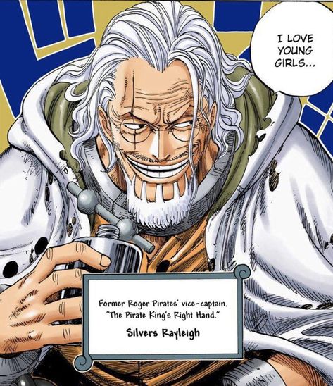 (One Piece Various x Female reader) Entering the story during the Sk… #fanfiction #Fanfiction #amreading #books #wattpad Silvers Rayleigh, Zoro And Robin, Straw Hat Pirates, One Piece Chapter, One Piece Meme, Bleach Fanart, The Pirate King, One Piece Ace, One Piece Drawing