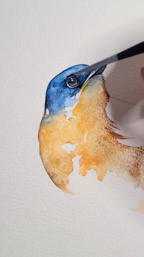 painted_wing on Instagram: New Eastern Blue bird watercolor painting. Just added quite a few new originals to my shop that will be on sale until monday. Link to shop… Blue Bird Watercolor, Painted Wings, Bird Watercolor Art, Anna Mason, Bird Watercolor Paintings, Bird Watercolor, Bird Watcher, Watercolor Bird, Watercolor Artist