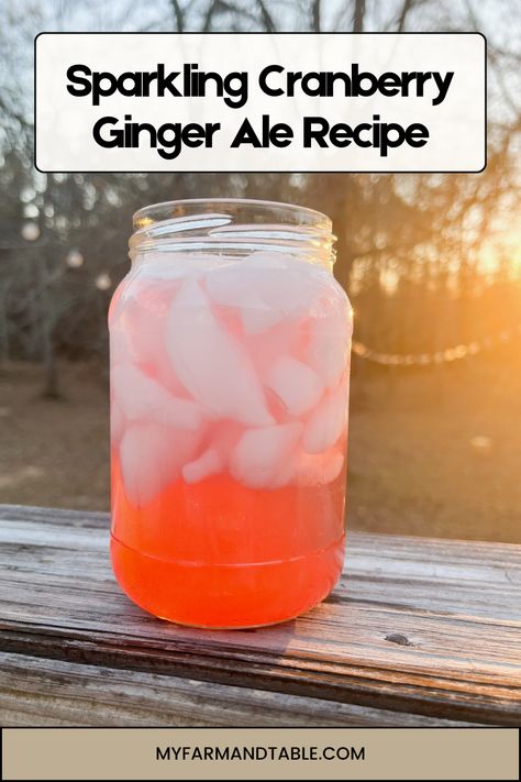 Refresh your taste buds with our Sparkling Cranberry Ginger Ale Recipe! This fizzy and flavorful drink combines the tangy taste of cranberries with the spicy kick of ginger, making it perfect for any occasion. Easy to make and naturally sweetened, this homemade soda is a delightful twist on a classic favorite. Visit our blog for the full recipe and step-by-step instructions to create this bubbly treat today! Cranberry Ginger Ale, Ginger Ale Recipe, Cranberry Simple Syrup, Homemade Ginger Ale, Ale Recipe, Ginger Fizz, Winter Foods, Homemade Soda, Drink Recipes Nonalcoholic