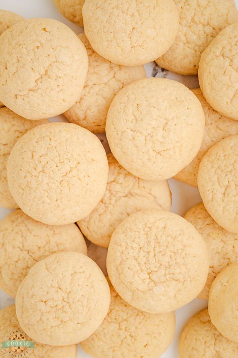 Copycat Vanilla Wafer Cookies Homemade Nilla Wafers, Nila Wafer Recipes, Vanilla Treats, Vanilla Wafer Cookies, Vanilla Wafer, Nilla Wafers, Peanut Butter Cheesecake, Wafer Cookies, Favorite Dessert Recipes