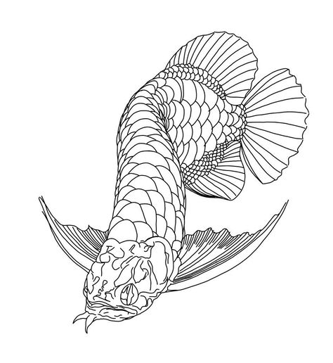 Arowana Drawing, Arowana Fish Tattoo, Arowana Tattoo, Arwana Fish, Auto Tattoo, Arowana Fish, Fish Sketch, Crane Tattoo, Basic Tattoos