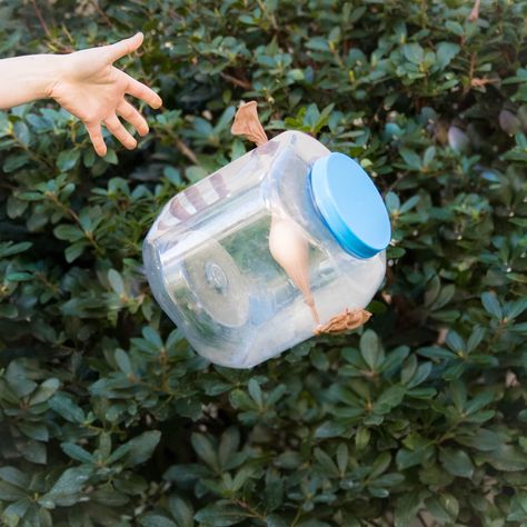 Get hands-on with this Egg Drop Project DIY project for beginners! Learn everything you need to know with step-by-step instructions and create something awesome! Gummy Bear Science Project, Egg Drop Project, Egg Experiments, Water Experiments, Family Projects, Egg Drop, Science Projects For Kids, Diy Projects For Beginners, Fair Projects