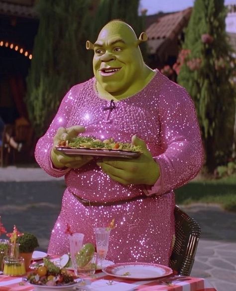 Funny Wedding Pictures, Iconic Wallpaper, Pink Sparkly, Cool Wallpapers Cartoon, Mood Instagram, Very Funny Pictures, Funny Profile Pictures, Shrek, Wedding Humor