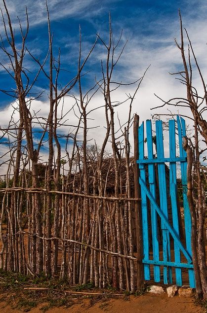 Coyote Fence, Natural Fencing, Cerca Natural, Rustic Garden Fence, Cottage Gardening, Terrasse Design, Garden Fences, Deer Fence, Garden Friends