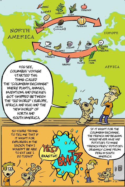 A  short and funny webcomic that teaches about what the Columbian Exchange was and how it impacts our lives today! More free comics and prints at zekesguidetohistory.com Columbian Exchange Activities, Columbian Exchange, 7th Grade Social Studies, 6th Grade Social Studies, 5th Grade Social Studies, North Europe, Funny Comic, North And South America, Teaching Activities