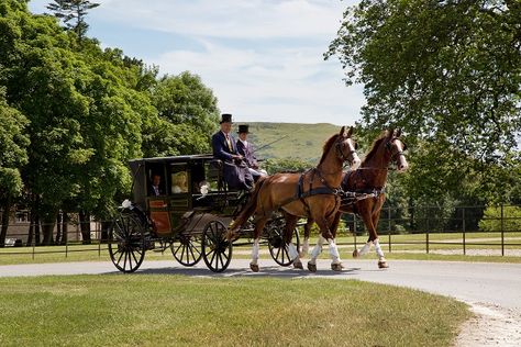 Horse and cart at Lulworth Castle taken by Emma Hurley photography Courtyard Entrance, Horse Wagon, Lulworth Cove, Walled Courtyard, Horse Cart, Beautiful Horses Photography, Horse And Buggy, Jurassic Coast, Horse Carriage