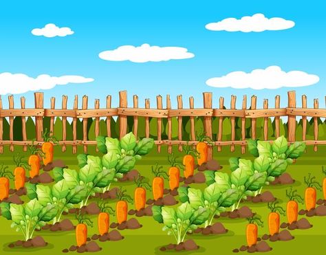 Field of food crops Drawing Of Food, Farm Cartoon, Growing Seedlings, Crop Farming, Soil Texture, Vegetable Plants, Free Green Screen, Illustration Story, Garden Drawing