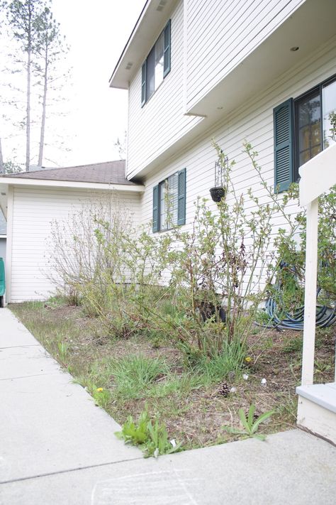 We're taking the One Room Challenge outdoors as we turn our sad rose garden into a front patio area including a water feature and wooden swing. Pea Gravel Patio, Front Flower Beds, Small Front Gardens, Scratch Cooking, Gravel Patio, Scratch Recipes, Diy Budget, Wooden Swings, Front Patio