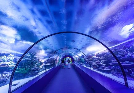 The world’s biggest underwater tunnel aquarium with 131 meters lenght and 3 meters widht! Ocean Park Manila, Manila Ocean Park, Big Aquarium, Visit Seoul, Sacred Architecture, Admission Ticket, Ocean Park, Disney Shanghai, Philippines Travel