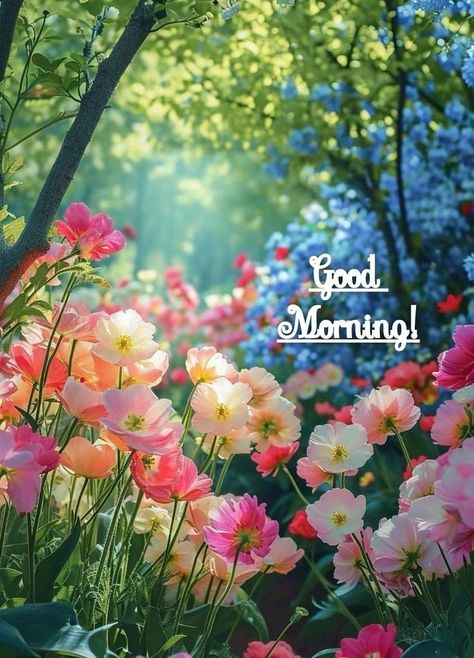 Greetings For The Day, Morning Quotes For Friends, Good Morning Funny Pictures, Good Morning Spiritual Quotes, Good Morning Sunshine Quotes, Good Morning Nature, Good Morning Flowers Quotes, Good Morning Beautiful Flowers, Good Morning Images Hd