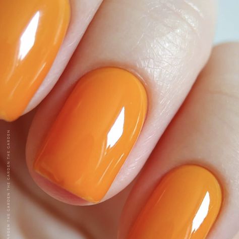 Mango Colored Nails, Nails Orange, Nail Colors, Acrylic Nails, Manicure, Mango, Nail Polish, Pasta, Orange