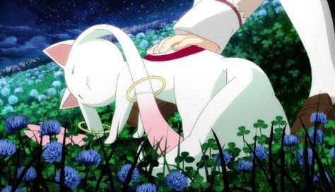 Kyubey Gif, Madoka Magica Kyubey, Fairy Types, Pdp Discord, Mahō Shōjo Madoka Magica, Girl Heaven, Picture Banner, Types Of Fairies, Mahō Shōjo