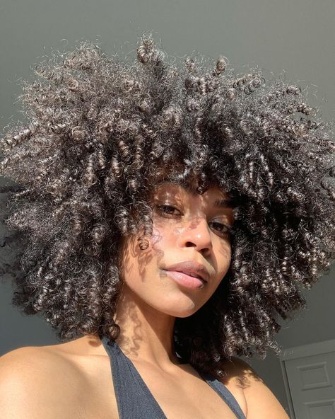 Taja Pickett, Poc Women, Hair Like Wool, Cabello Afro Natural, Hair Goal, Afro Natural, Gorgeous Hairstyles, Natural Hair Tutorials, 4c Hair