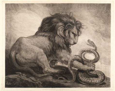 The great lion slays the snake. Lion And Snake, Metal Illustration, Eugène Delacroix, Illustration Tattoo, Lion Love, Lion Painting, Lily Evans, Ginny Weasley, Remus Lupin