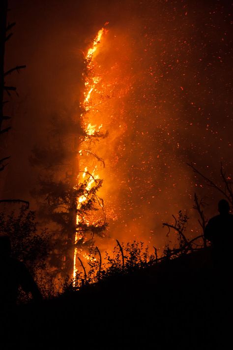 Fire Tornado, Fire Background, Wildland Fire, Fire Stock, Fire Image, Fire Photography, Wild Fire, Fire Element, Fire Art