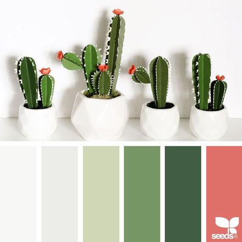 today's inspiration image for { paper cacti } is by @handmadebysarakim ... thank you, Sara, for another incredible #SeedsColor image share! Seeds Color Palette, Design Seed, Cactus Images, Paper Cactus, Seeds Color, Green Color Palette, Cactus Design, Green Colour Palette, Design Seeds