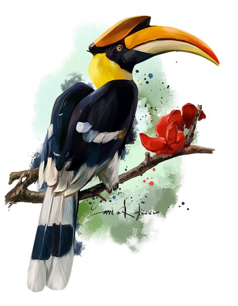 Hornbill by https://www.deviantart.com/kajenna on @DeviantArt Burung Kakatua, Art Tutorials Watercolor, Bird Pictures, Art Drawings For Kids, Bird Drawings, Paint Shop, Watercolor Animals, Wildlife Art, Birds Painting