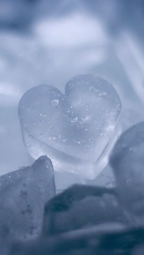 Link: http://m.kappboom.com/gallery/l?p=120124&d=5&share=pinterest.shareextension Ice Aesthetic, Ice Heart, Frozen Heart, Heart Iphone Wallpaper, Light Blue Aesthetic, Best Iphone Wallpapers, Ice Queen, Icy Blue, Iphone 7 Cases