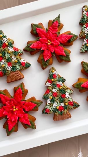 Poinsettia Cookies, Decorated Christmas Cookies, Christmas Cookies Decorated, Christmas Poinsettia, Cookie Cake, Decorated Cookies, Future Life, Poinsettia, Christmas Eve