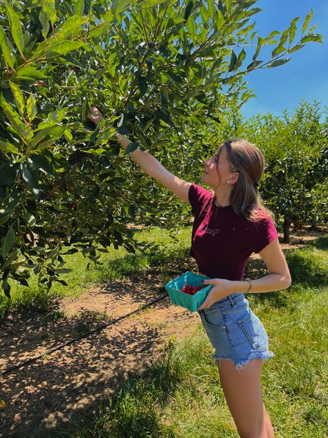 Berry Picking Outfit Summer, Cherry Picking Photoshoot, Raspberry Picking Aesthetic, Picking Strawberries Aesthetic, Cherry Picking Aesthetic, Cherry Picking Outfit, Fruit Picking Outfit, Berry Picking Outfit, Berry Picking Aesthetic