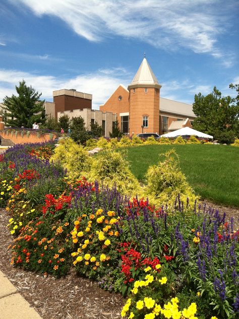 Franciscan University!!! I can't believe I will be attending this beautiful school in the fall! :) Franciscan University Of Steubenville, School In The Fall, Franciscan University, Dream School, My School, Where The Heart Is, In The Fall, Girls Trip, The Fall