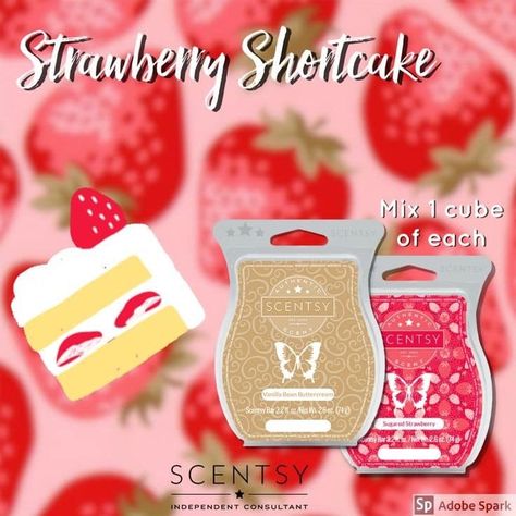 Scentsy Combinations, Scentsy Combos, Scentsy Graphics, Scentsy Cleaning Products, Scentsy Mixers, Scentsy Australia, Scentsy Posts, Scentsy Mixology, Scentsy Consultant Business