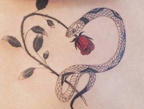 12+ Heart And Snake Tattoo Designs | PetPress Snake Heart Drawing, Snake Memorial Tattoo, Unique Memorial Tattoos Best Friend, Snake Heart Tattoo, Snake Heart, Unique Snake Tattoo, Hart Tattoo, Heart With Wings Tattoo, Love Heart Tattoo