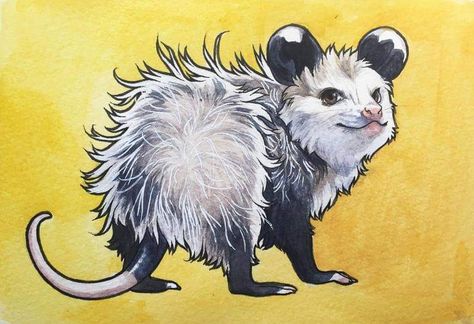 Opposum Illustration, Screaming Possum Drawing, Cute Possum Art, Opposum Drawings, Cute Possum Drawings, Cute Opossum Drawing, Possum Painting, Possum Illustration, Opossum Drawing