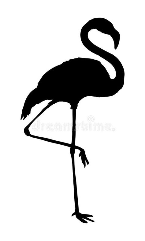 Flamingo Clipart Black And White, Tattoo Flamingo, Flamingo Silhouette, Flamingo Vector, White Flamingo, White Animals, Seashells Patterns, Rosé Black And White, Flowers Images