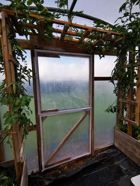 Polytunnel Layout Ideas, Polytunnel Gardening, Polly Tunnel, Polytunnel Ideas, Planting Layout, Fast Growing Climbers, Poly Tunnel, Plants In Containers, Hoop House