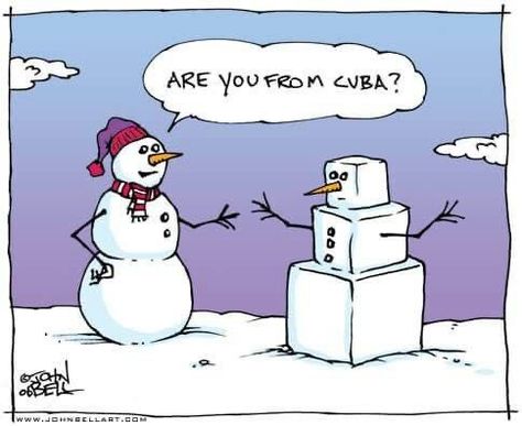 Whyatt Cartoons, Snowman Jokes, Funny Christmas Cartoons, Xmas Jokes, Winter Humor, Snow Humor, Funny Christmas Jokes, Snowman Cartoon, John Bell