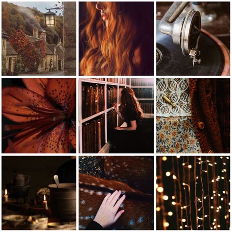 Lily Evans moodboard Medieval Moodboard, Dark Academia Ideas, Lily Harry Potter, Severus And Lily, Character Tips, Half Elf Bard, Rosé Core, James And Lily, Aesthetics Edits