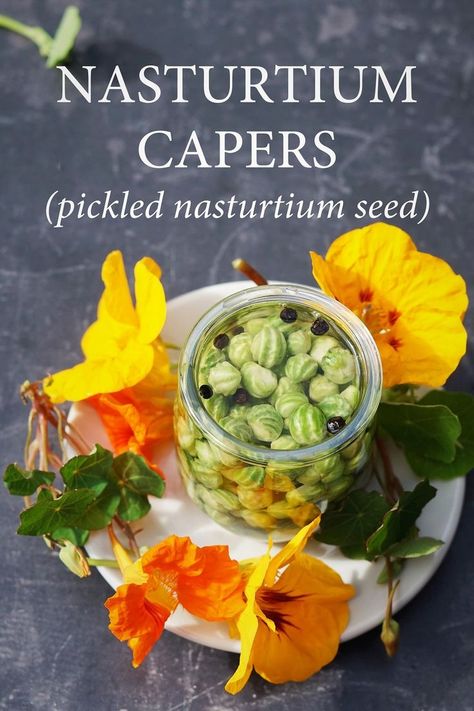 jar of nasturtium capers on a plate surrounded by flowers and leaves Piccalilli Recipes, Vegetable Pickle, Blackberry Brandy, Brandy Recipe, Easy Pickle, Capers Recipe, Colourful Garden, Pickled Cucumber, Homemade Custard