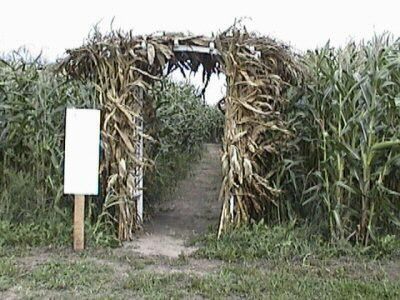 corn mazes .... so creepy and so fun Maze Entrance, Corn Maze Pictures, Scary Maze, Apple Orchards, Pumpkin Patches, Corn Maze, Autumn Activities, Outdoor Halloween, Free Offer