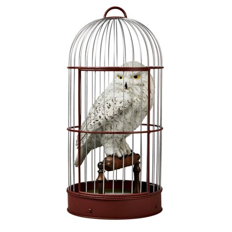 Hedwig™ in Cage Statue Hedwig Owl, Harry Potter Golden Snitch, Pngs For Moodboards, Harry Potter Hedwig, The Wizarding World Of Harry Potter, Harry Potter Collection, Wizarding World Of Harry Potter, Universal Orlando, Png Icons