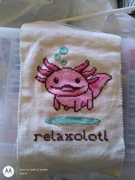 Cross Stitch Axolotl, Jessica Name, Banner Border, Simple Cross, Pretty Animals, Simple Cross Stitch, Cross Stitching, Diy Embroidery, This Guy