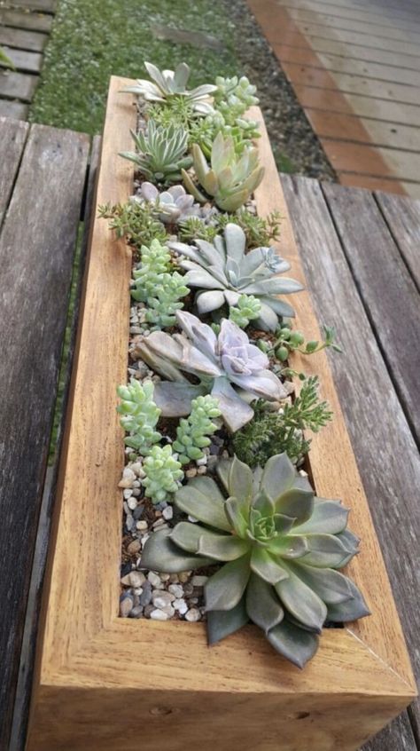 Succulent Rock Garden, Succulent Wall Garden, Succulent Garden Design, Succulent Landscaping, Wooden Planter, Succulent Garden Diy, Rock Garden Landscaping, Succulent Gardening, Small Balcony Ideas