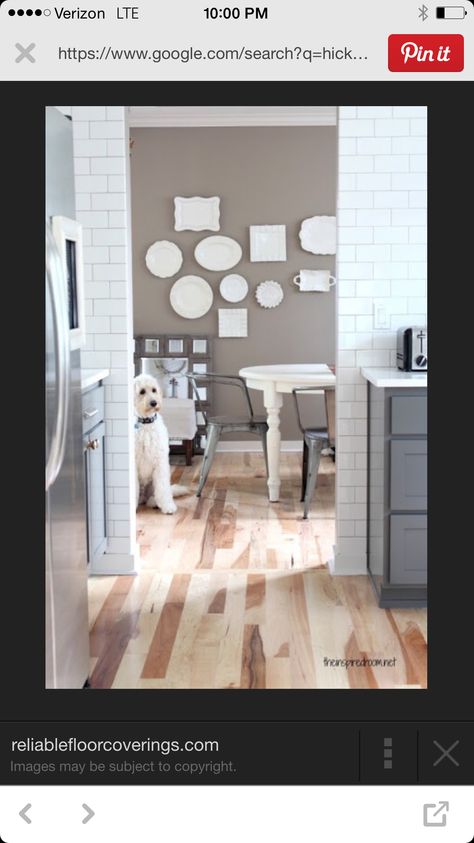 Hickey Floor with grey and white Best Wall Paint Colors, Hickory Floor, Hickory Floors, Best Wall Paint, Wall Paint Color, Hickory Hardwood Floors, Hickory Flooring, Floor Makeover, Living Room Wood Floor