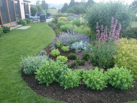 Landscape Berms, Poolside Planters, Berm Ideas, Landscape Berm, Hedge Ideas, Landscape Design Ideas, Privacy Hedge, Privacy Landscaping, Future Garden