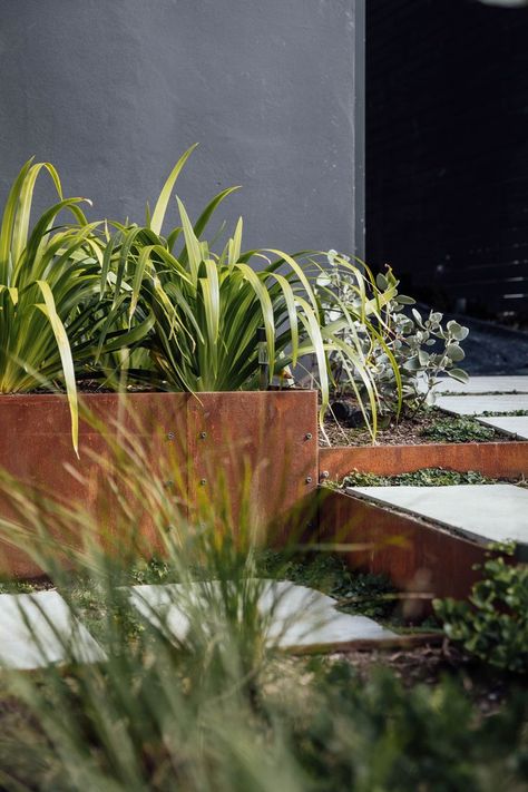 Industrial style garden incorporating corten steel garden beds and marble stepping stones to create tiered gardens to handle the contours of the front entry Steel Garden Beds, Corten Garden, Corten Steel Garden, Steel Garden Edging, Steel Edging, Tiered Garden, Tree Removal, Landscape Designs, Garden Edging