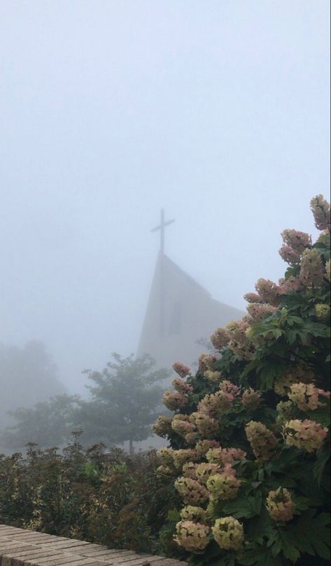 Franciscan University Of Steubenville, Franciscan University, University Aesthetic, Traditional Catholicism, College Beauty, Gods Princess, Foggy Day, Dream College, Dream School